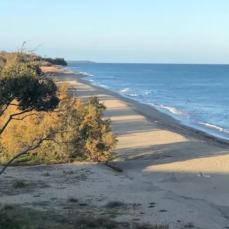 Appart. En Corse T3 Bord De Et Piscine. N 143 *