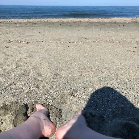 Appart. En Corse T3 Bord De Et Piscine. N 143 شقة Linguizzetta