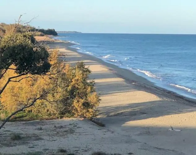 Appart. En Corse T3 Bord De Et Piscine. N 143 *