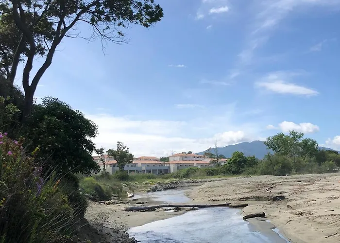 Appart. En Corse T3 Bord De Et Piscine. N 143 Appartement *