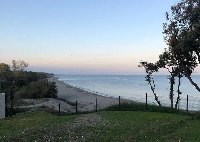 Appart. En Corse T3 Bord De Et Piscine. N 143 Appartement Linguizzetta